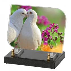 Oiseaux