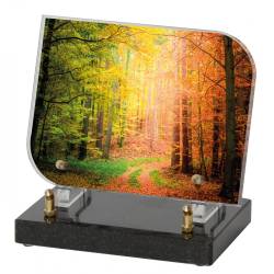 Forêt