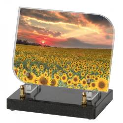 Tournesols