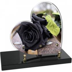 Rose noire