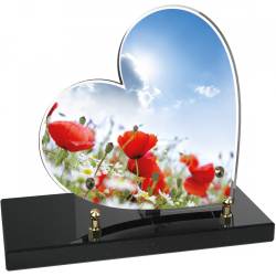Coquelicot