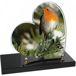 Oiseau