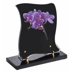 Orchidée