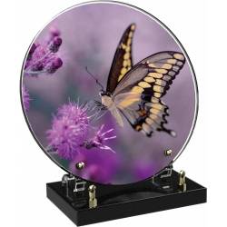 Papillon