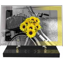 Tournesols