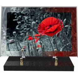 Coquelicot