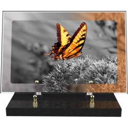 Papillon