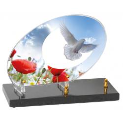 Coquelicots