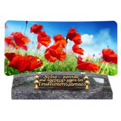 Coquelicot