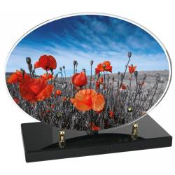 Coquelicot 2