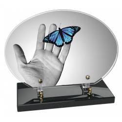 Papillon bleu