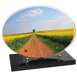 Campagne