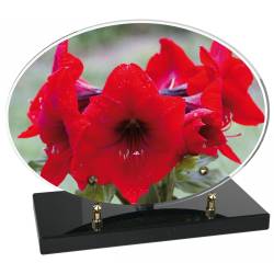 Fleurs rouges