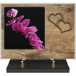 Orchidée