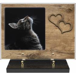 Chat