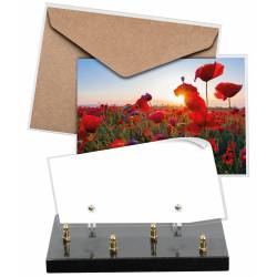 Coquelicot