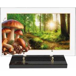 Champignon