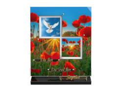 Coquelicot