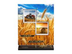 Agriculture
