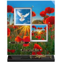 Coquelicot
