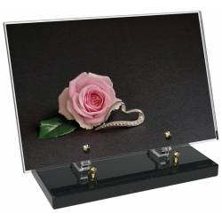Fleur décor 20 avec texte