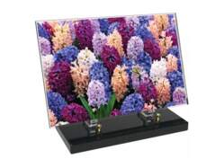 Fleur décor 33 avec texte