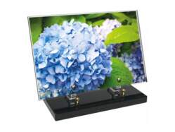 Fleur décor 41 avec texte