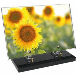 Fleur décor 30 avec texte