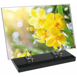 Fleur décor 38 avec texte
