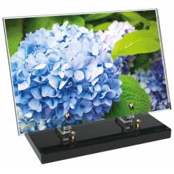 Fleur décor 41 avec texte