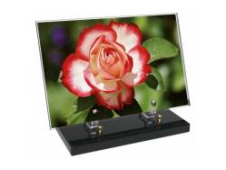 Fleur décor 19 avec texte