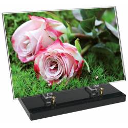 Fleur décor 23 avec texte