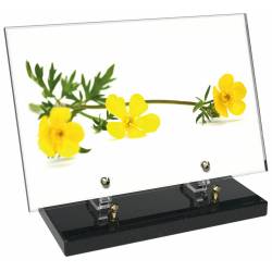 Fleur décor 43 avec texte
