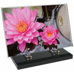 Fleur décor 3 avec texte