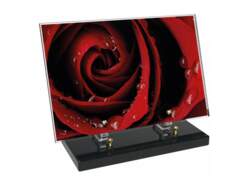 Fleur décor 31 avec texte