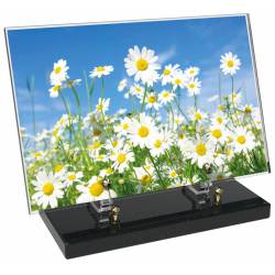 Fleur décor 34 avec texte