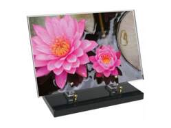 Fleur décor 3 avec texte