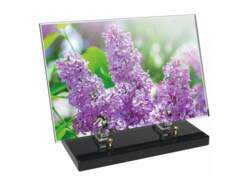 Fleur décor 46 avec texte