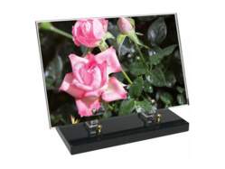 Fleur décor 7 avec texte