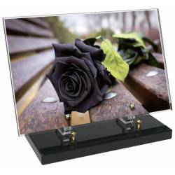 Fleur décor 5 avec texte