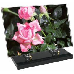 Fleur décor 7 avec texte