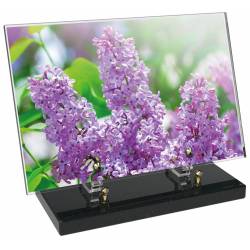 Fleur décor 46 avec texte