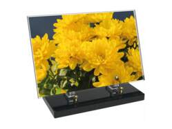 Fleur décor 42 avec texte