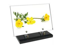 Fleur décor 43 avec texte