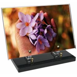 Fleur décor 16 avec texte