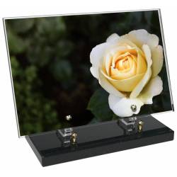 Fleur décor 8 avec texte