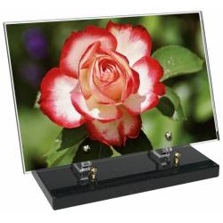 Fleur décor 19 avec texte