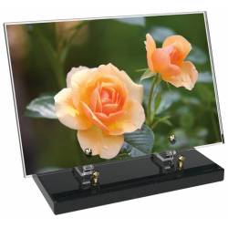 Fleur décor 17 avec texte