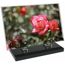 Fleur décor 11 avec texte