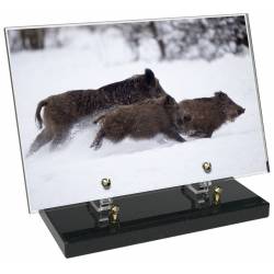 Chasse décor avec texte 27